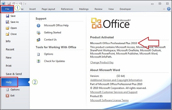 What version of Microsoft Office.